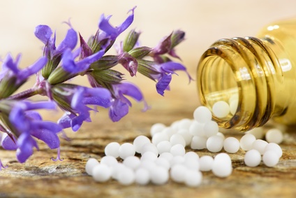 Homöopathie erleben – Einführung in die Welt der Homöopathie