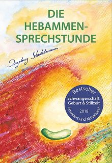 Buch Die Hebammen-Sprechstunde/Stadelmann