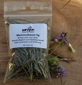 Xarvyon Mammutbaum 5g